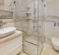 Luxury bathroom with a shower and designer sink in a 2-room apartment.