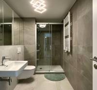 Bathroom with a shower, sink, and mirror in a 2-room apartment.