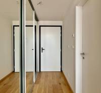 A bright hallway with wooden flooring and a mirrored wardrobe in a 2-room apartment.