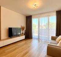 Living room in a two-room apartment with a sofa, television, and wooden floor.
