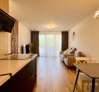 Living room in a two-room apartment with a kitchenette, wooden floor, and large window.