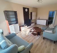Living room in a 3-room apartment with a sofa, coffee table, and display cabinet.
