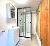 A bathroom in a cabin with a sink and a shower, wooden and white wall.