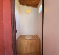 A wooden interior of a simple room with light walls, windows, and ground-level garden motifs.