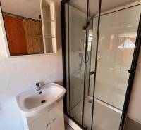 Bathroom with a shower and a sink in the interior of the Garden.