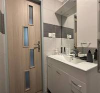 Bathroom in a studio apartment with a sink, mirror, and wooden door.