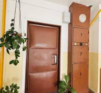 Entrance to a one-room apartment with brown doors, flowers, and an electrical cabinet in the hallway.