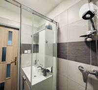 A bathroom in a studio apartment with a modern shower and sink.