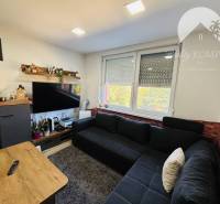 Living room with a dark sofa, a TV on the wall, and a large window.
