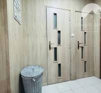 Entrance hallway in a one-room apartment with wooden doors and a wicker basket.