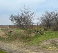 Agricultural and forest land on Domky Street in Zálesie with visible trees and a road.