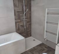 A bathroom in a family house with a bathtub, shower, and ladder radiator.