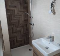 A bathroom in a family house with wooden paneling and a shower enclosure.