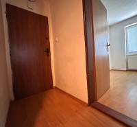 Entrance hallway of a 3-room apartment with wooden doors and a view into the room.