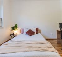 Bedroom in a 3-room apartment with a simple bed, a desk, and a plant.