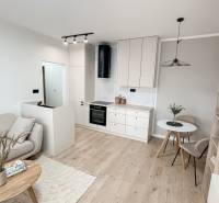 Living room and kitchen in a 2-room apartment with a spacious floor and bright decoration.