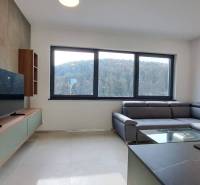 Living room with a gray sofa and a television in a 2-room apartment.
