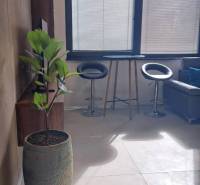 Interior of a 2-room apartment with bar stools, a table, and a flowerpot.