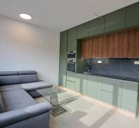 Bright kitchen and living room with a sofa in a 2-room apartment.