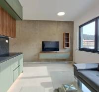A kitchen unit with a TV and a couch in a 2-room apartment with a large window.