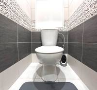 A toilet with ceramic tiles in a 2-room apartment, in black and white tones.