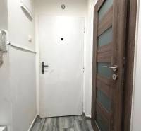 Entrance hallway with doors in a 2-room apartment, light walls and floor.