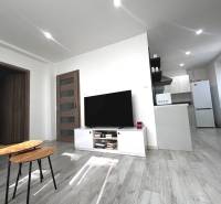 Living area of a 2-room apartment with a television, a table, and a kitchenette.