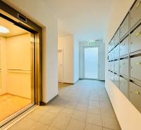Entrance area with elevator and mailboxes in a 2-room apartment.