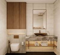 A minimalist bathroom in a family house with a stone sink and toilet in neutral tones.