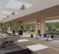 A gym in a family house equipped with treadmills, dumbbells, and cardio equipment.