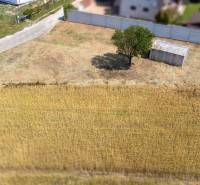 A peaceful plot for living in Dunajská Lužná, with a shelter and a tree.