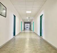 A long corridor with white walls and green office doors.