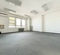Spacious offices with a sink, large windows, and a radiator.