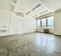 Bright office spaces with a sink and large windows.