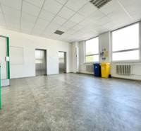 Offices with elevators, recycling bins, and radiators, bright space.