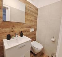 Bathroom in a 2-room apartment with wooden and ceramic tiles, with a sink and toilet.