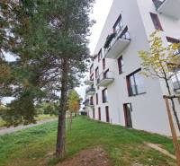 Apartment building on Jilemnického in Svit, next to greenery and trees.