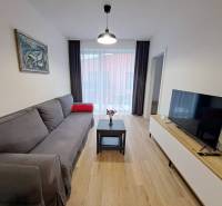Living room with a sofa, table, and television in a two-room apartment.