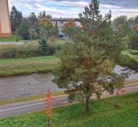 View from a 2-room apartment on Jilemnického Street in the town of Svit, including the river and greenery.