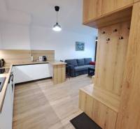 Kitchen with living room in a 2-room apartment, equipment includes wooden floors and wall cabinets.