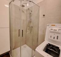 Shower corner and washing machine in the bathroom of a 2-room apartment.