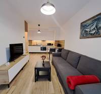 Living room of a 2-room apartment with a kitchenette, sofa, and television.