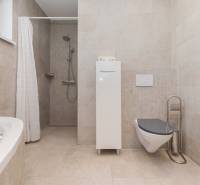 A bathroom in a family house with a bathtub, shower, and wall-hung toilet.