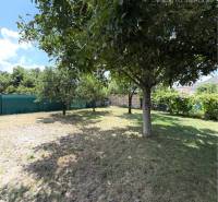 A garden of a family house in Komárno with a well-maintained lawn and trees.