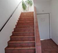 The interior of a building with brown stairs and a plant by the wall.