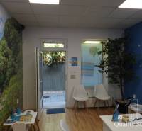 Interior of a building with a children's corner and a plant, light walls, open doors.