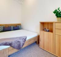 Bedroom in a 2-room apartment with a bed, dresser, and a houseplant on the dresser.