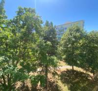 Trees and an apartment building on Sliačska Street in Bratislava - Nové Mesto.