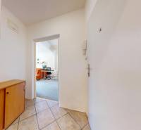 Entrance hallway with a cabinet and a view into the living room in a 2-room apartment.