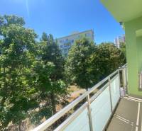 A balcony with a view of greenery and surrounding buildings on Riazanská Street.